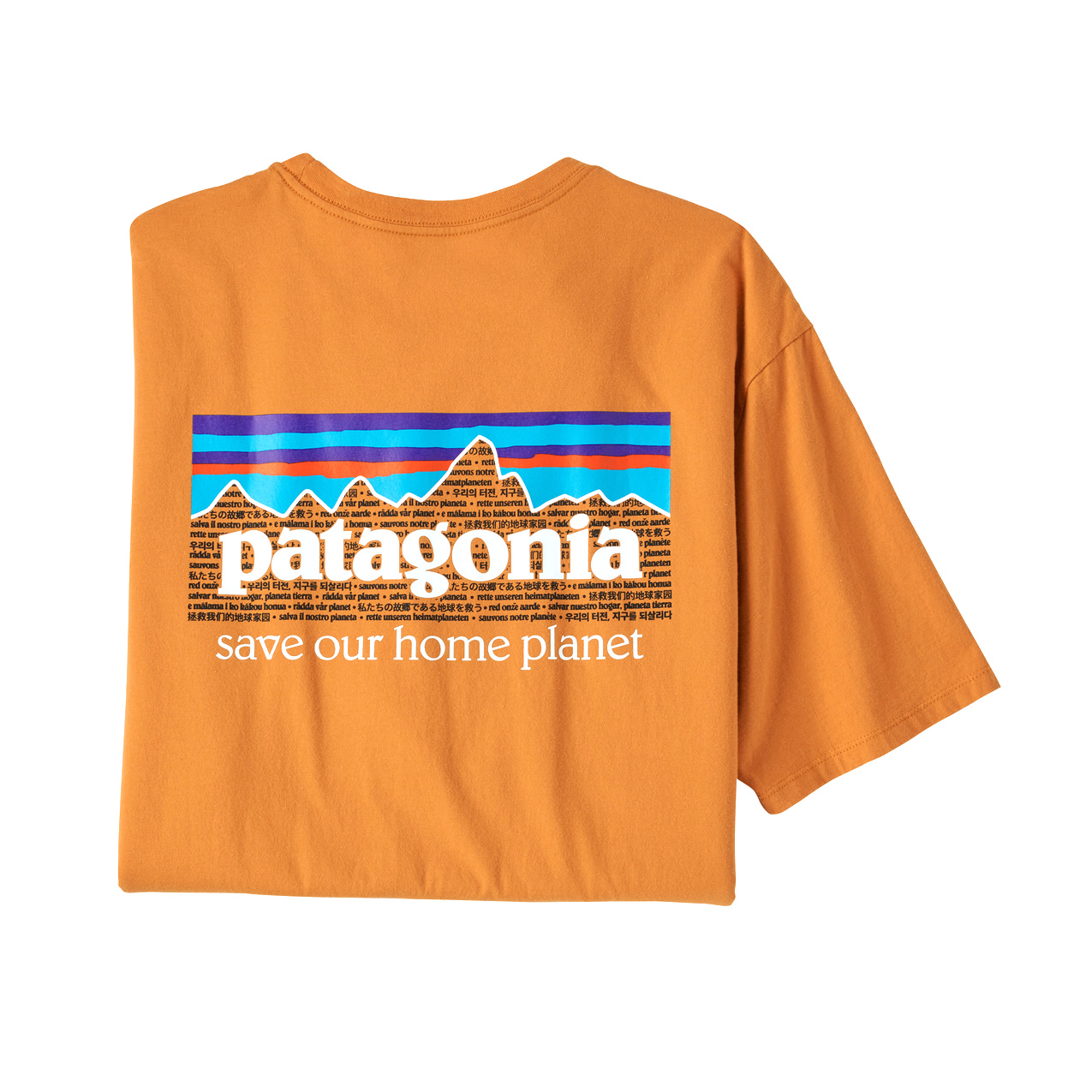 PATAGONIA P-6 MISSION ORGANIC T-SHIRT maglietta uomo